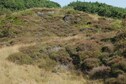 Vakantiehuis Directe omgeving (zomer) (<1 km)