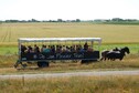 Vakantiehuis In de regio (zomer) (>5 km)