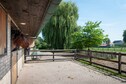Vakantiehuis Faciliteiten en service