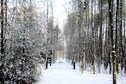 Vakantiehuis Tuin winter