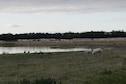 Vakantiehuis Directe omgeving (zomer) (<1 km)