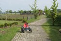 Vakantiehuis Directe omgeving (zomer) (<1 km)