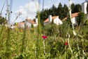Vakantiehuis Directe omgeving (zomer) (<1 km)