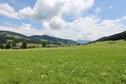 Vakantiehuis Directe omgeving (zomer) (<1 km)