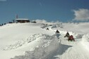 Vakantiehuis Omgeving (winter) (1-5 km)