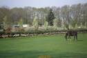 Vakantiehuis Directe omgeving (zomer) (<1 km)
