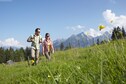Vakantiehuis Directe omgeving (zomer) (<1 km)