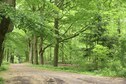 Vakantiehuis Directe omgeving (zomer) (<1 km)