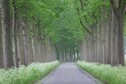 Vakantiehuis In de regio (zomer) (>5 km)