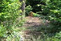 Vakantiehuis Tuin zomer
