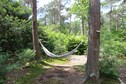 Vakantiehuis Tuin zomer