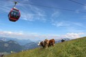 Vakantiehuis In de regio (zomer) (>5 km)