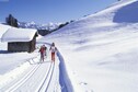 Vakantiehuis Omgeving (winter) (1-5 km)