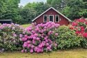 6 persoons vakantie huis in Toftlund in - - Zuid-denemarken, Denemarken foto 8459829