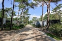 House image small