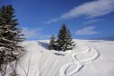 Vakantiehuis In de regio (winter) (>5 km)