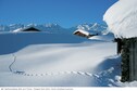 Vakantiehuis In de regio (winter) (>5 km)