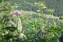 Vakantiehuis Omgeving (zomer) (1-5 km)