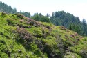 Vakantiehuis In de regio (zomer) (>5 km)