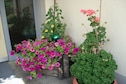 Vakantiehuis Tuin zomer