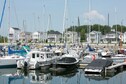 Vakantiehuis Directe omgeving (zomer) (<1 km)