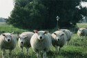 Vakantiehuis Omgeving (zomer) (1-5 km)
