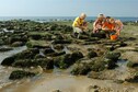 Vakantiehuis Directe omgeving (zomer) (<1 km)