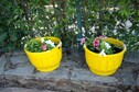 Vakantiehuis Tuin zomer