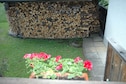 Vakantiehuis Tuin zomer