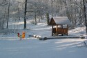 Vakantiehuis Directe omgeving (winter) (<1 km)