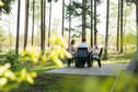 Vakantiehuis Tuin zomer