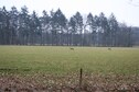 Vakantiehuis Uitzicht zomer