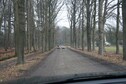 Vakantiehuis Directe omgeving (winter) (<1 km)