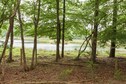 Vakantiehuis Directe omgeving (zomer) (<1 km)