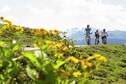 Vakantiehuis Omgeving (zomer) (1-5 km)