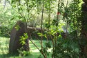Vakantiehuis Tuin zomer
