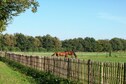 Vakantiehuis Directe omgeving (zomer) (<1 km)