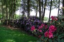 Vakantiehuis Exterieur zomer