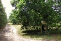 Vakantiehuis Directe omgeving (zomer) (<1 km)
