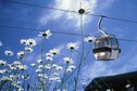 Vakantiehuis Directe omgeving (zomer) (<1 km)