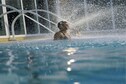 Vakantiehuis Directe omgeving (zomer) (<1 km)