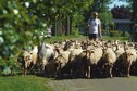 Vakantiehuis In de regio (zomer) (>5 km)