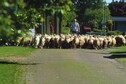 Vakantiehuis In de regio (zomer) (>5 km)