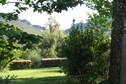 Vakantiehuis Tuin zomer