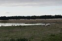 Vakantiehuis Directe omgeving (zomer) (<1 km)