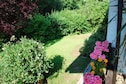 Vakantiehuis Tuin zomer