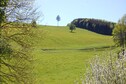 Vakantiehuis Directe omgeving (zomer) (<1 km)
