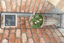 House image small
