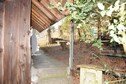 Vakantiehuis Tuin zomer