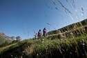 Vakantiehuis In de regio (zomer) (>5 km)